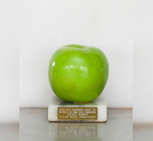 National Excellence Award