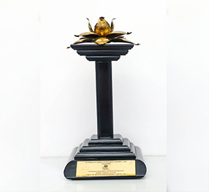 Global Sustainability Award